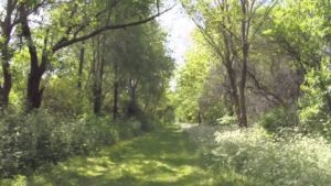 stengel trail